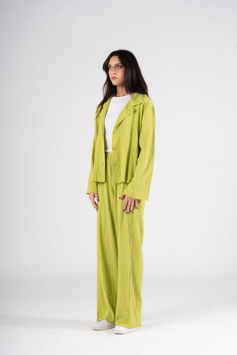 Lime Green Long Sleeves Set